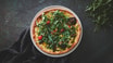 Special Pizza 199